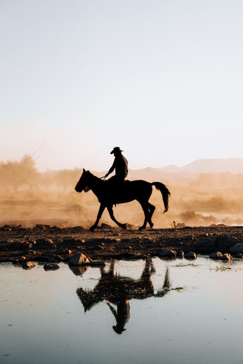 Free A striking silhouette of a horseback rider crossing a river at sunset, captured in serene nature. Stock Photo