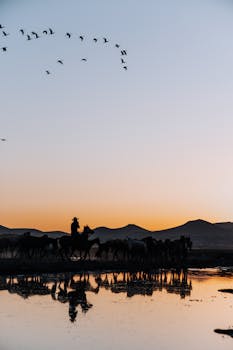 A wrangler leads a herd of horses near a lake at dawn, with stunning reflections and a tranquil landscape.
