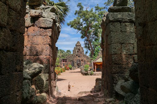 Ta Prohm Temple Cambodia August 2023