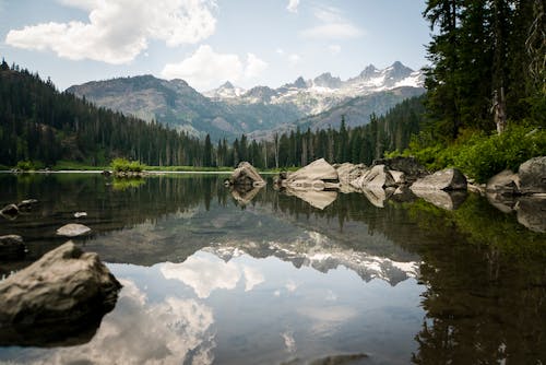 Imagine de stoc gratuită din alpin, arbori, camping