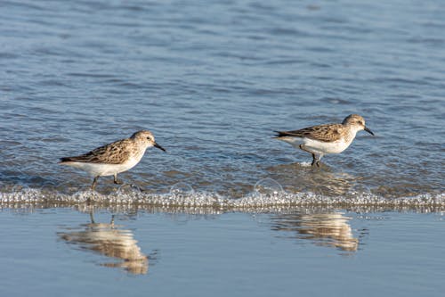 Kostenloses Stock Foto zu klein, küste, meer