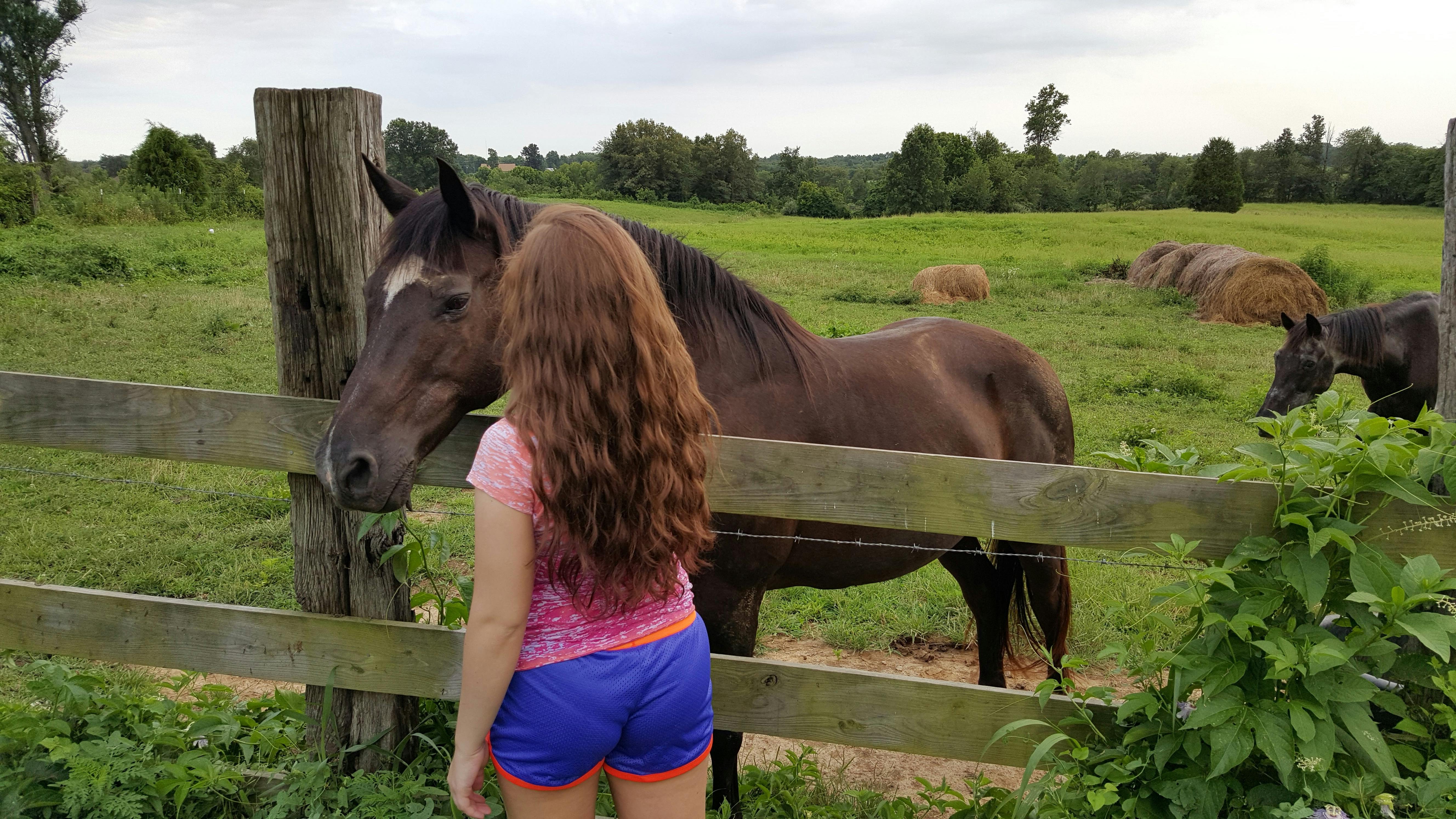 Mental resilience and human balance in 2025