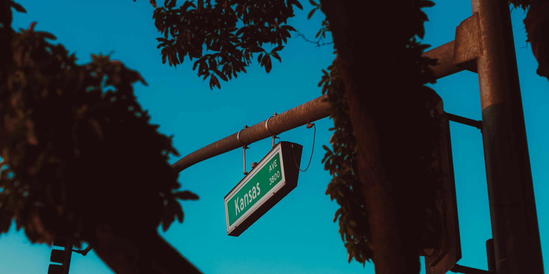 Street sign for Kansas Avenue surrounded by tree silhouettes against a clear sky.