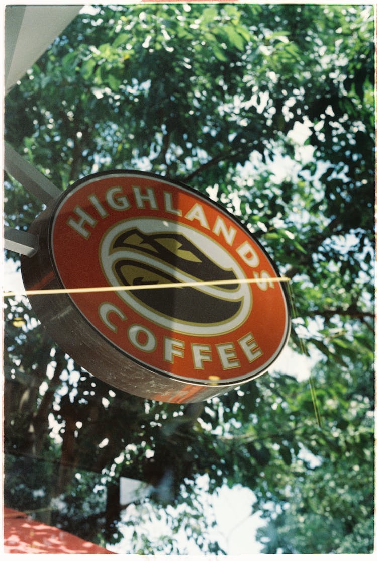 Cafe Logo Under Tree