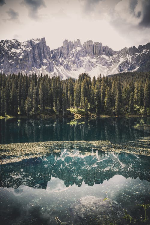 Foto Von Rocky Mountains Während Des Tages