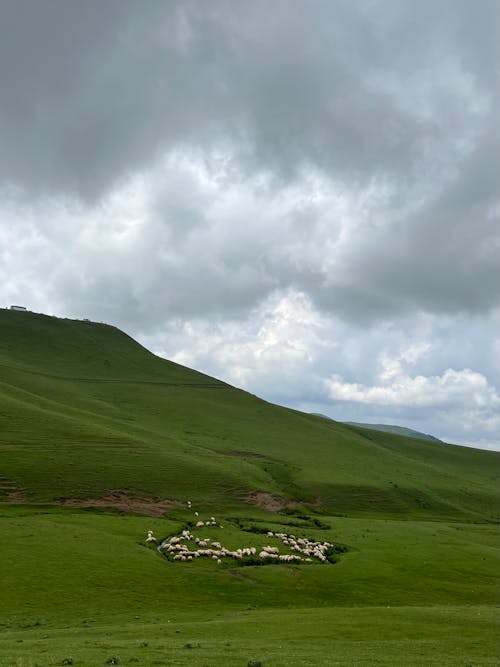 Δωρεάν στοκ φωτογραφιών με arka σχέδιο, trekking, αγρόκτημα