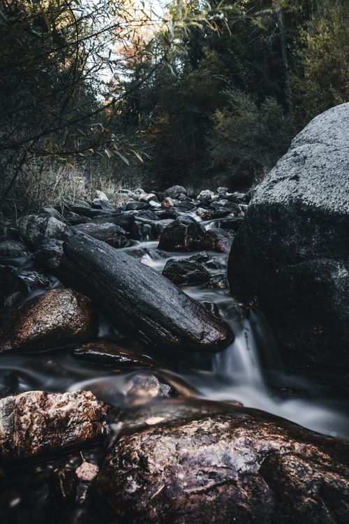 Free Capture of a tranquil creek flowing over mossy rocks in a lush forest setting. Stock Photo