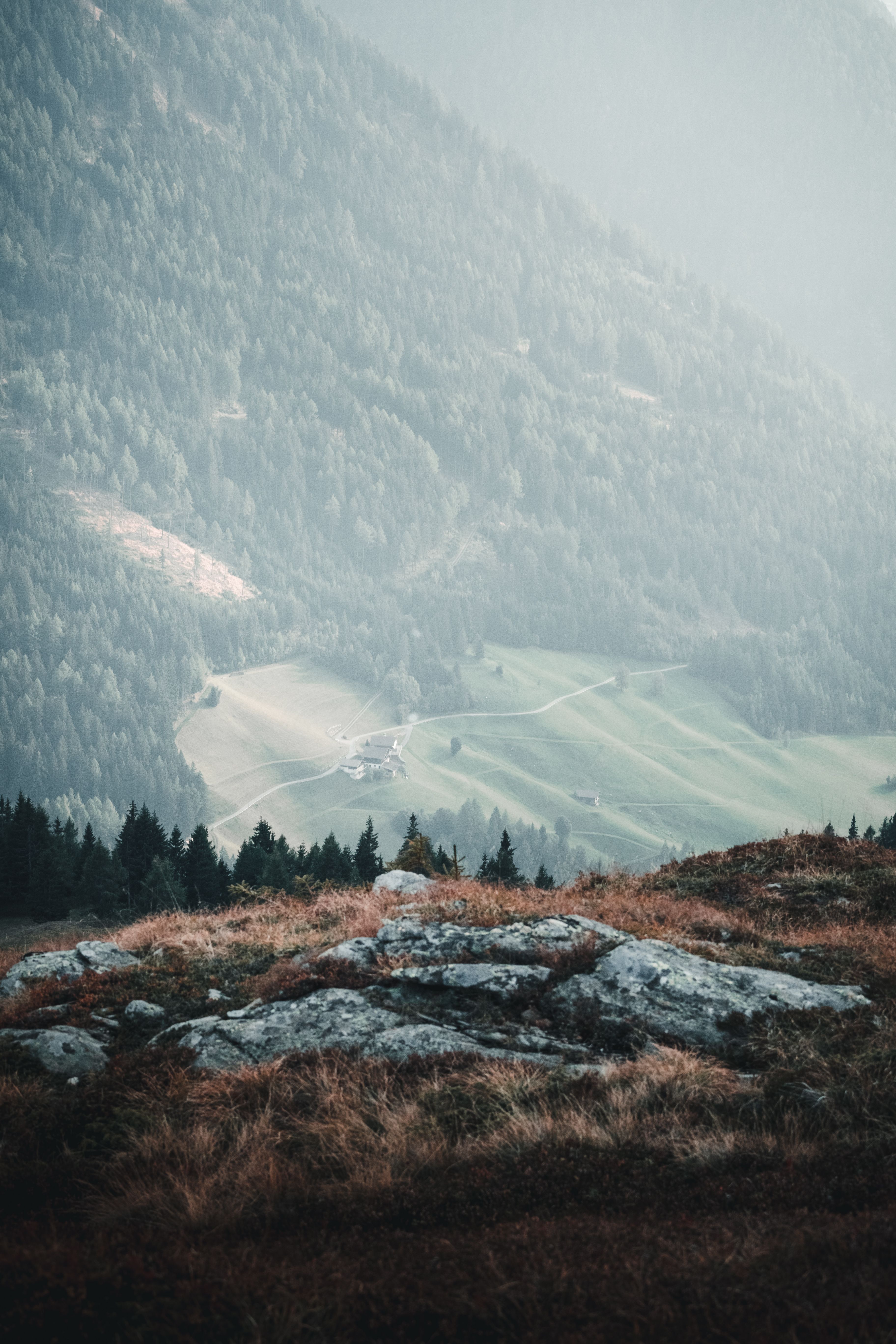 Green Forest Trees Under Blue Sky · Free Stock Photo