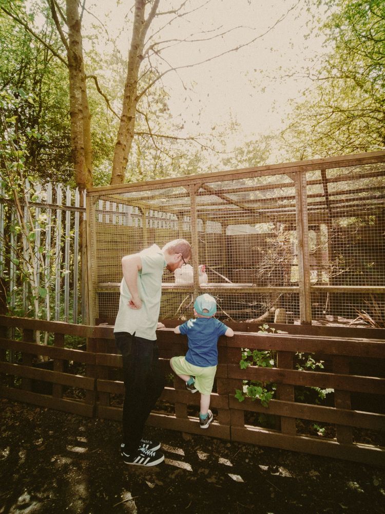Parent and child at zoo