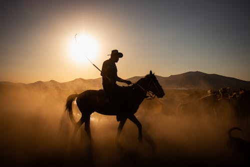 Horse Rider in a Cowboy Hat Drives a Herd at Sunrise