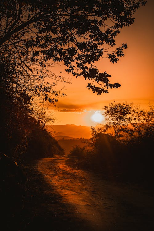 Sunset in a country road