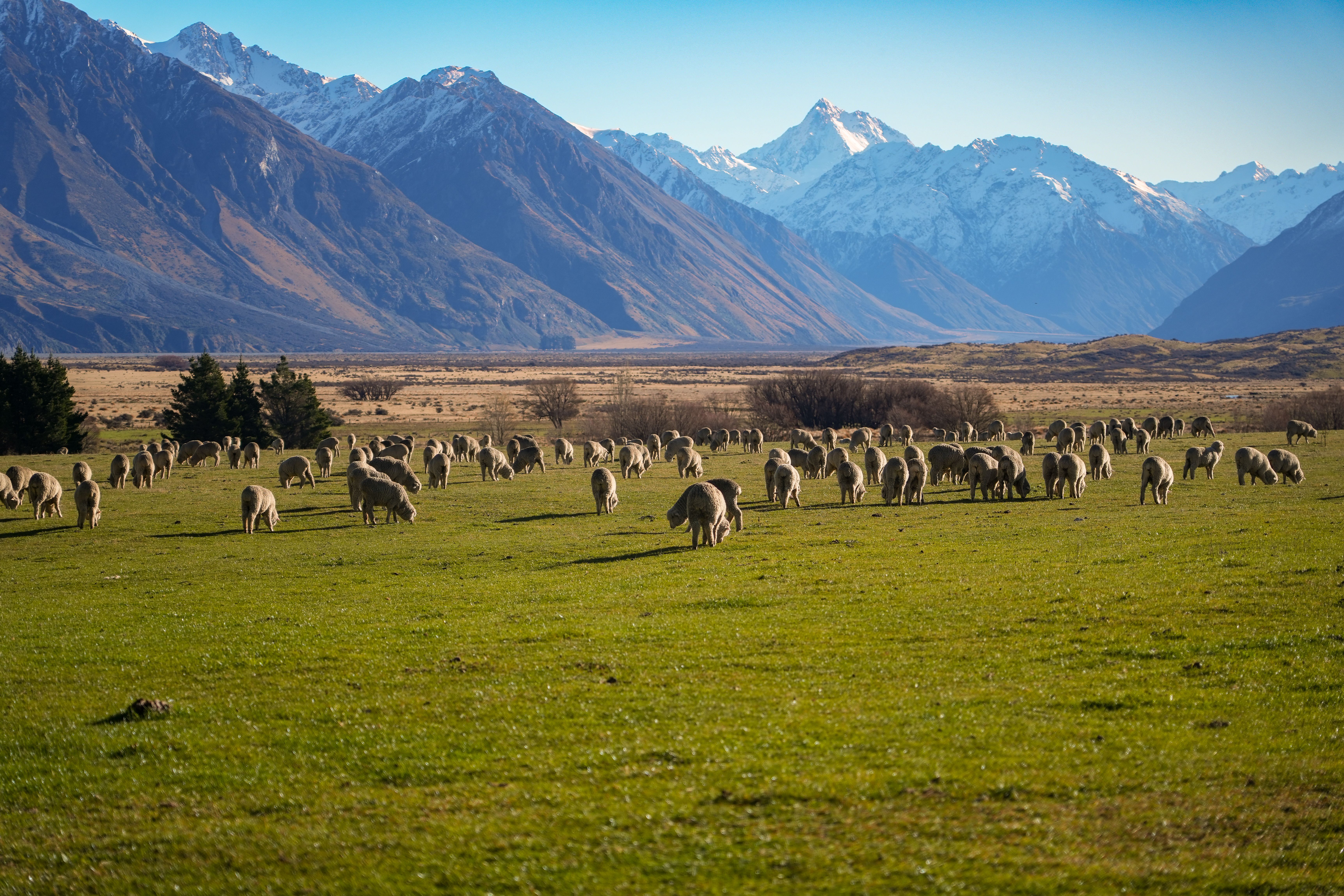 Oamaru landscape