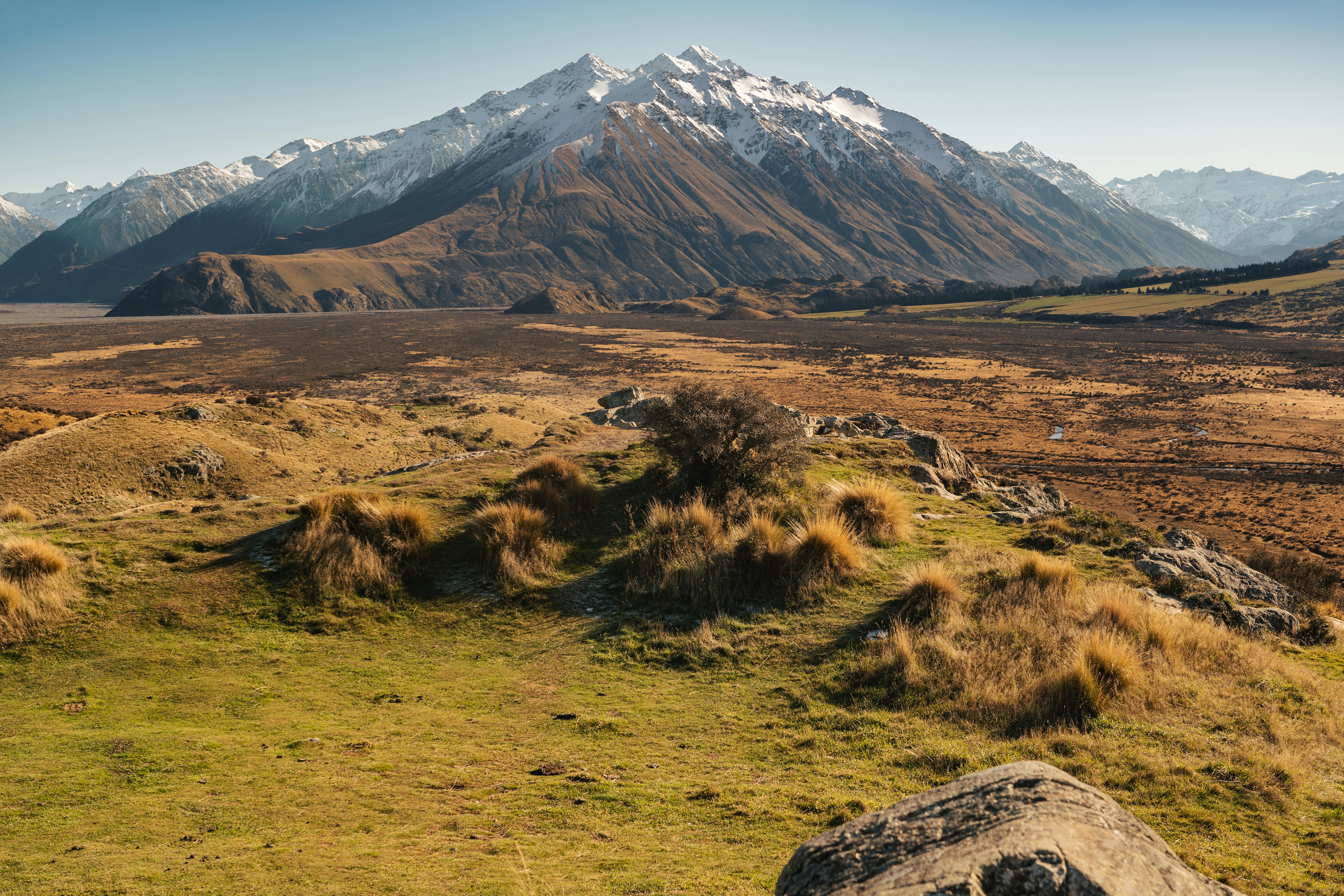 general travel new zealand — Photo by Donovan Kelly on Pexels