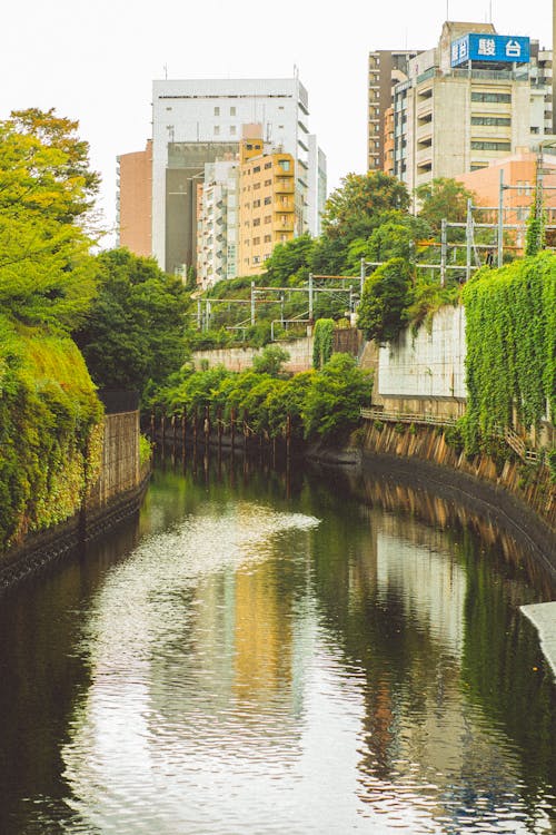 住宅, 住宅區, 公園 的 免費圖庫相片