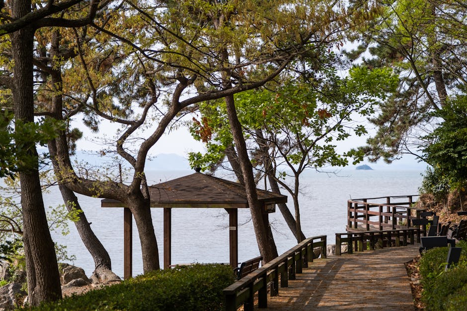 Gangjin, South Korea - travel photo