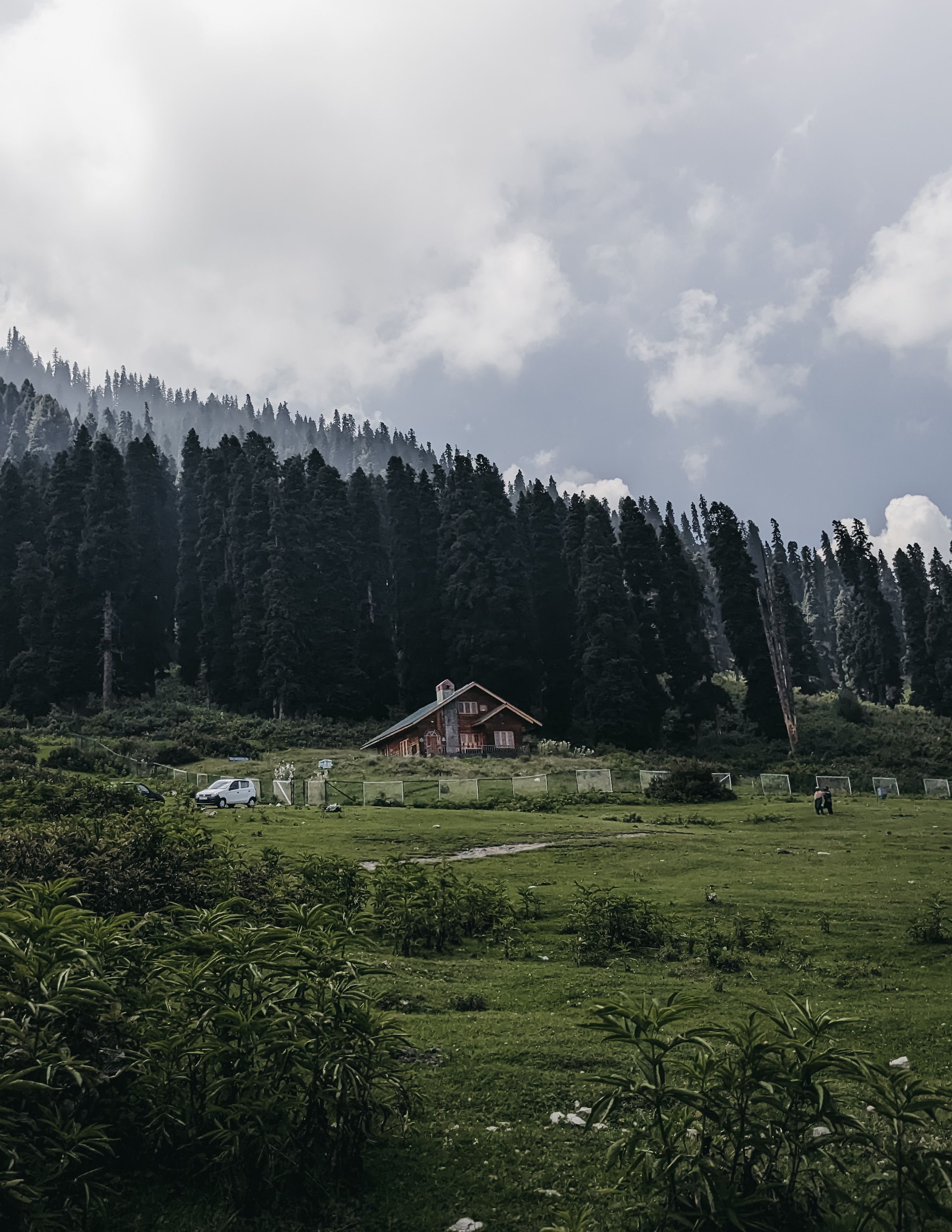 Beautiful Mountain House in Blooming Meadow · Free Stock Photo