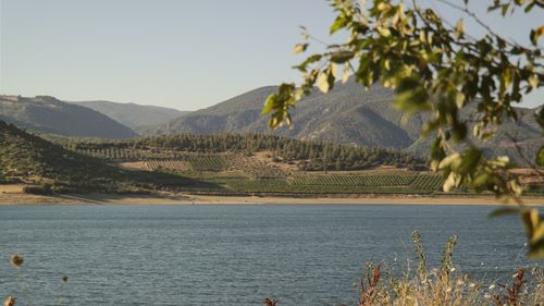 Free Tranquil scene of a lake with lush hills and orchards, perfect for nature lovers. Stock Photo