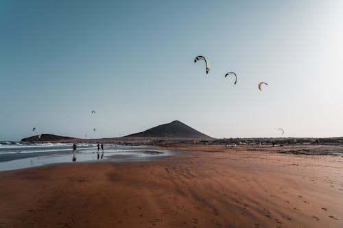 People Launching Kites on a Sand Beach