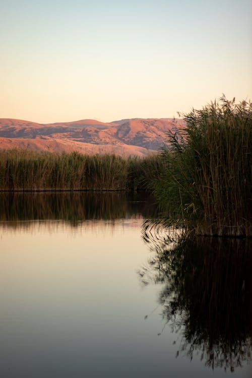 Kostnadsfri bild av kullar, landskap, natur