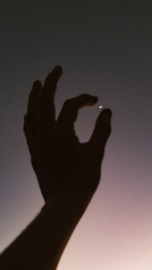 Free stock photo of aesthetic, arm, evening sky