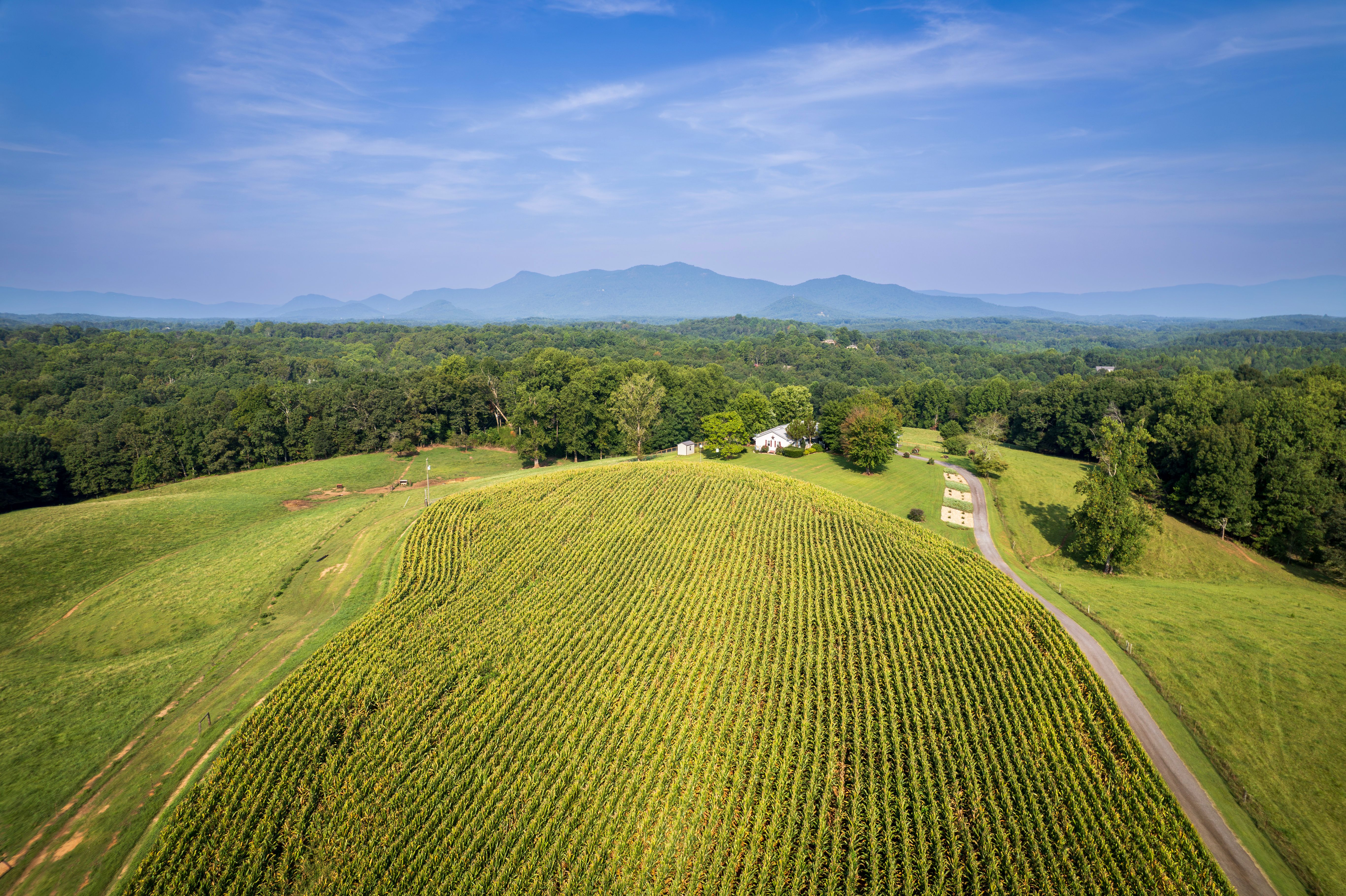 Discover the Best Places to Live in North Carolina