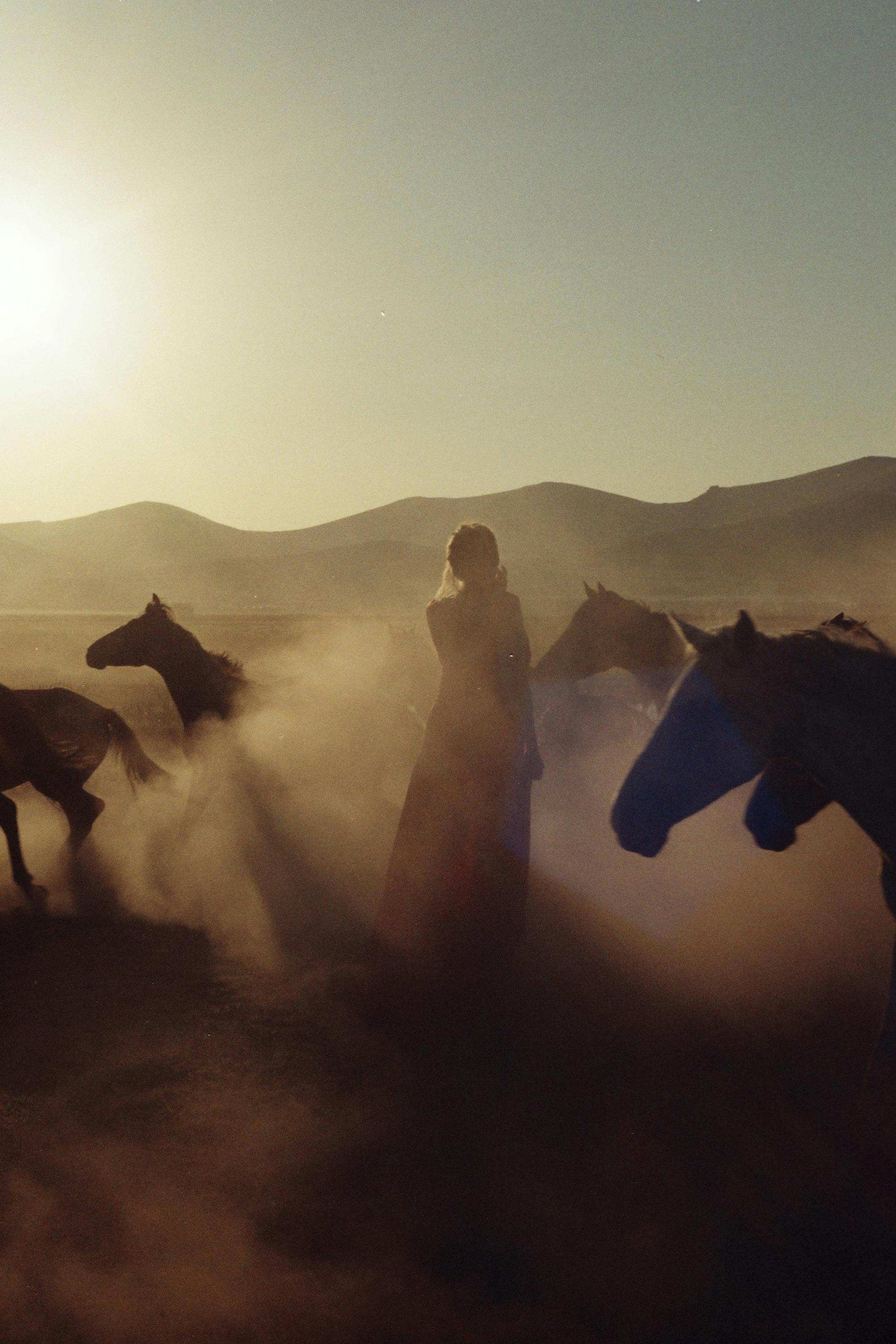 Silhouette of a woman amidst a herd of horses at sunset, creating a dramatic and mystical scene.