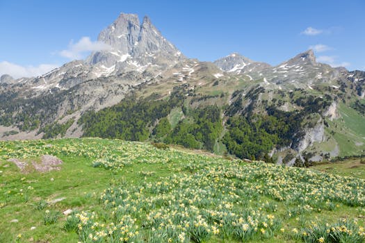 Midi-Pyrénées