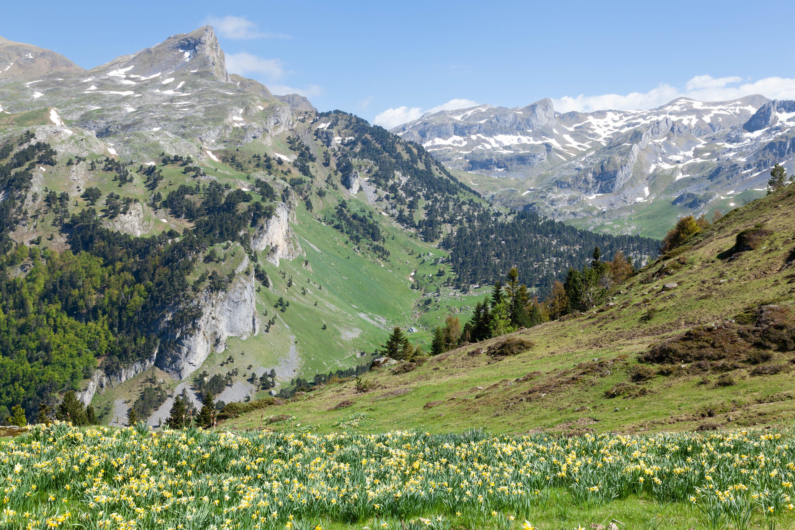 Pirineo aragonés
