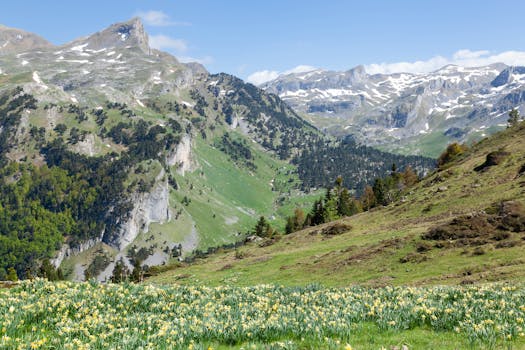 Pyrénées-Atlantiques