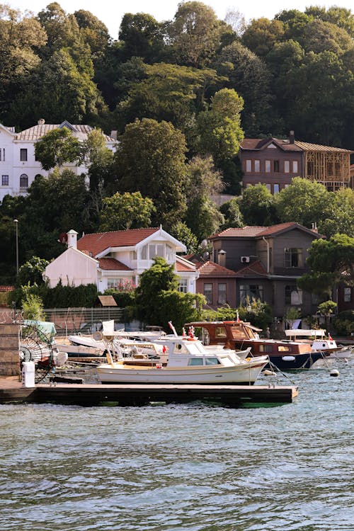 ağaçlar, bağlı, deniz içeren Ücretsiz stok fotoğraf