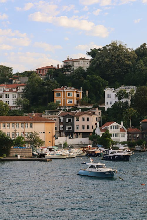 Houses by the Marina