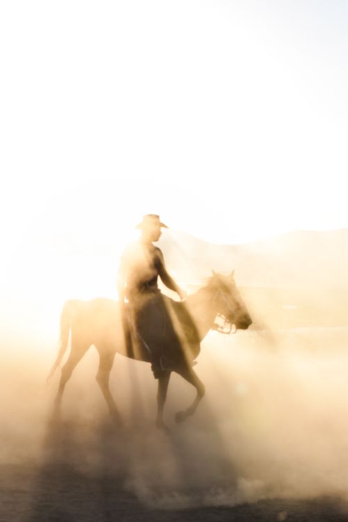 Free Mystical silhouette of a cowboy on horseback enveloped in dust at sunset. Stock Photo