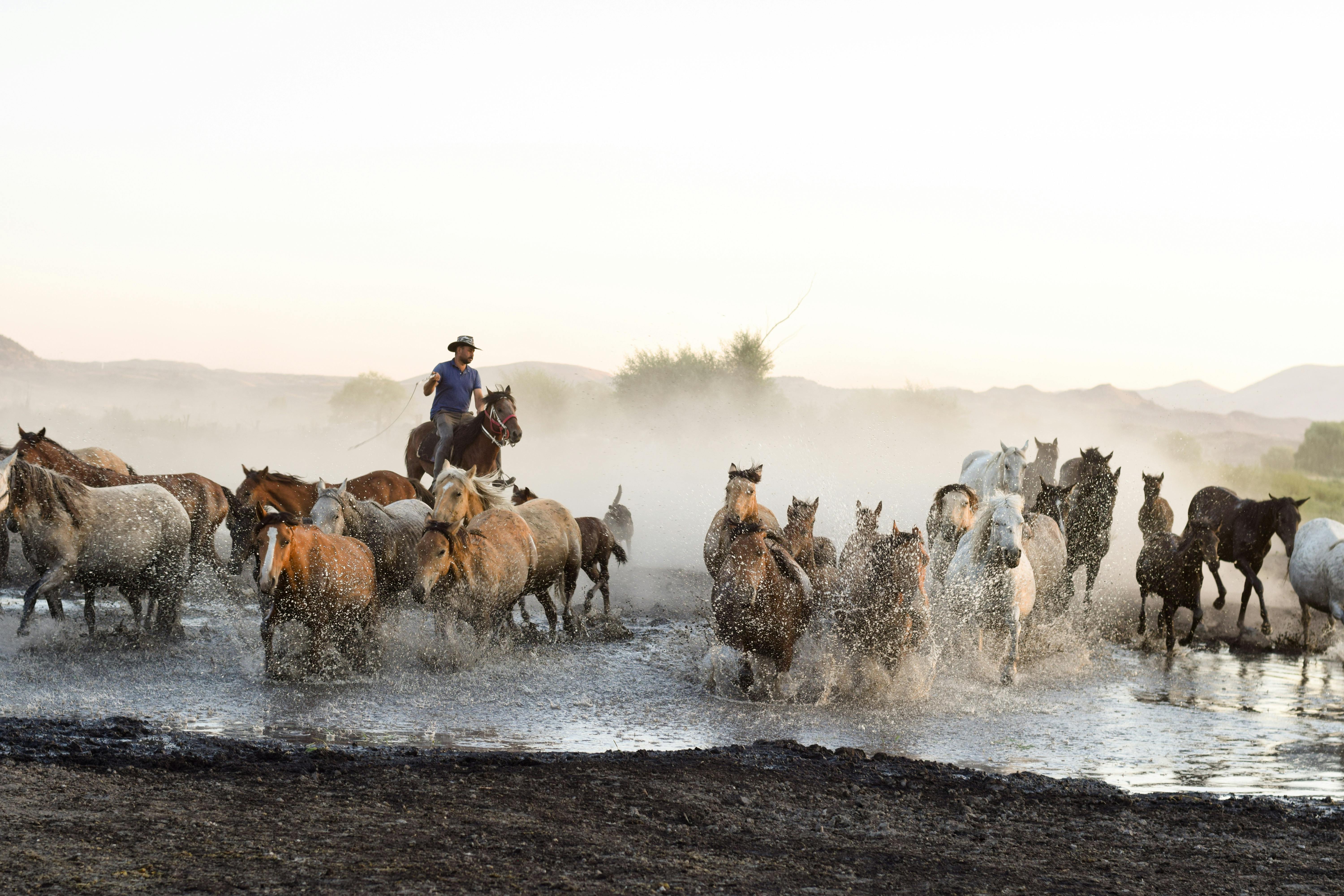 Türkiye’s population prefers Western lifestyle, survey shows — Photo by Fatma Çakır on Pexels