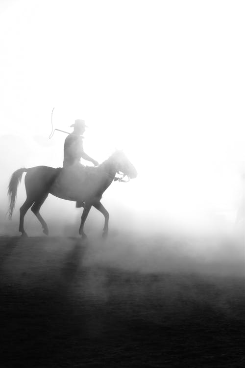 คลังภาพถ่ายฟรี ของ wrangler, การขี่ม้า, ขาวดำ