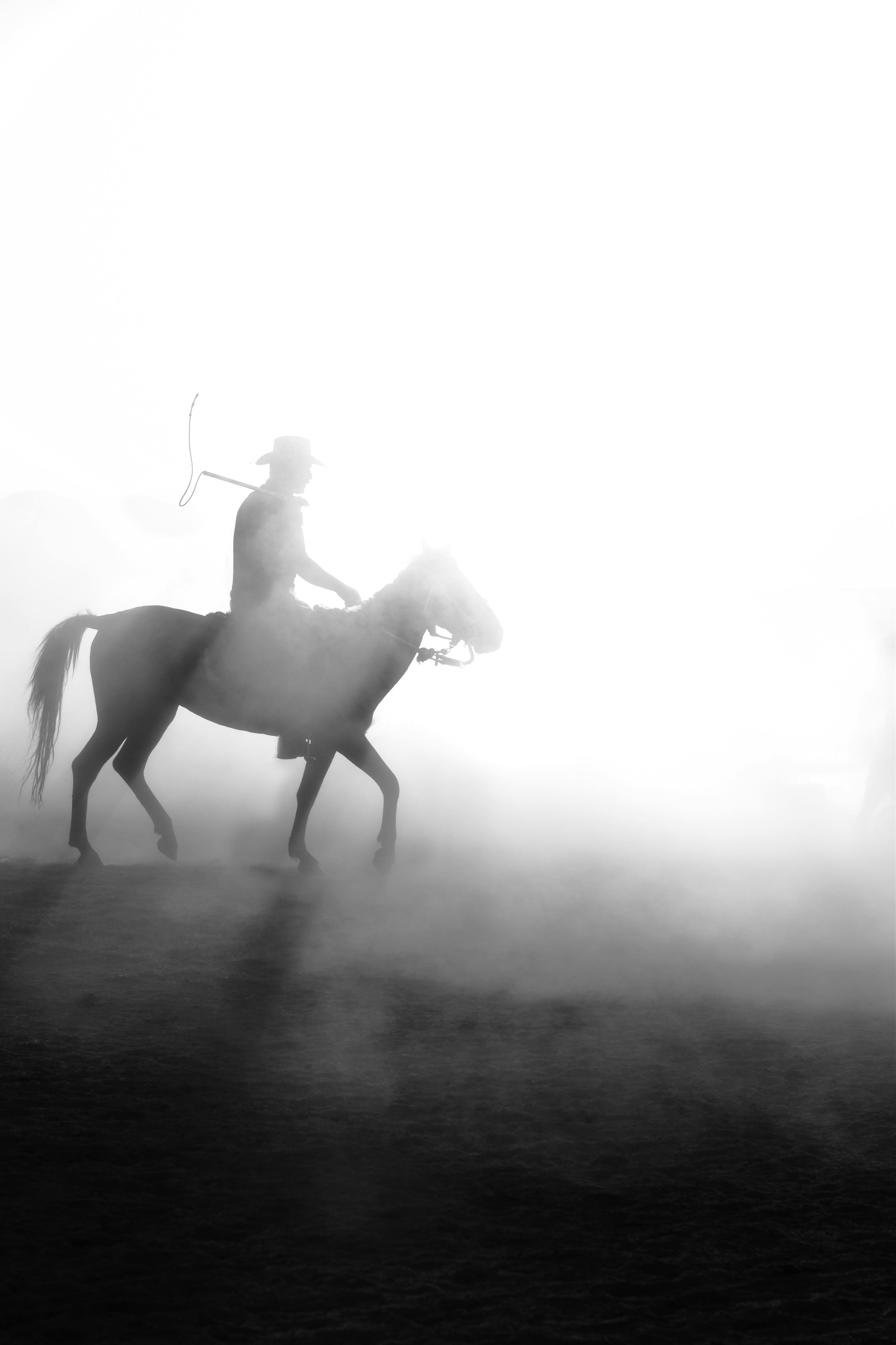 Cowboy Wallpaper 4K, Horses, Silhouette, Dawn, Sunset