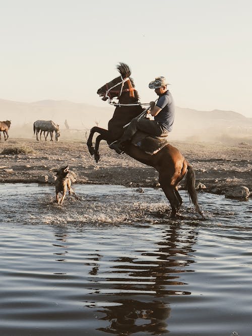 A Man on a Horse in the Water 