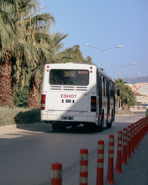 Free Public bus driving through urban street surrounded by palm trees on a sunny day. Stock Photo