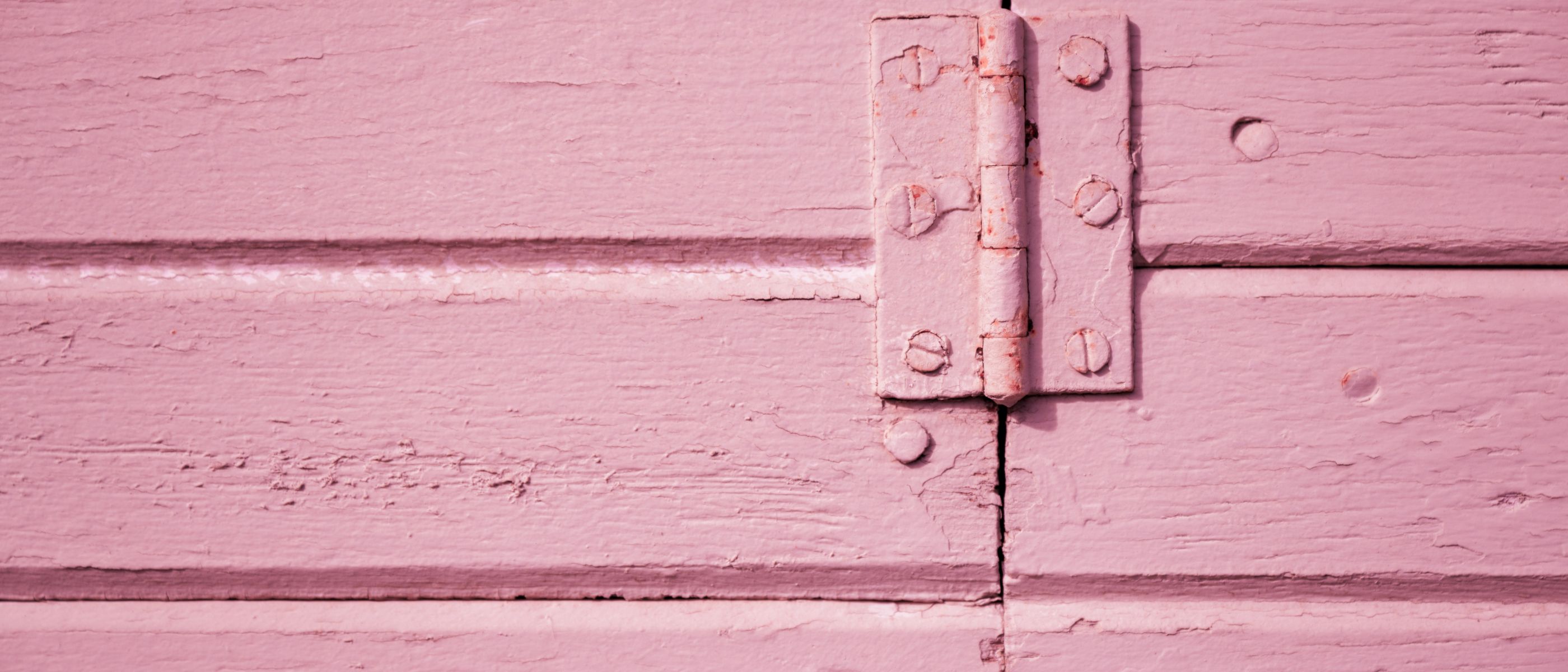 Fence and Decking Painting in Walthamstow Village — careful masking before painting begins
