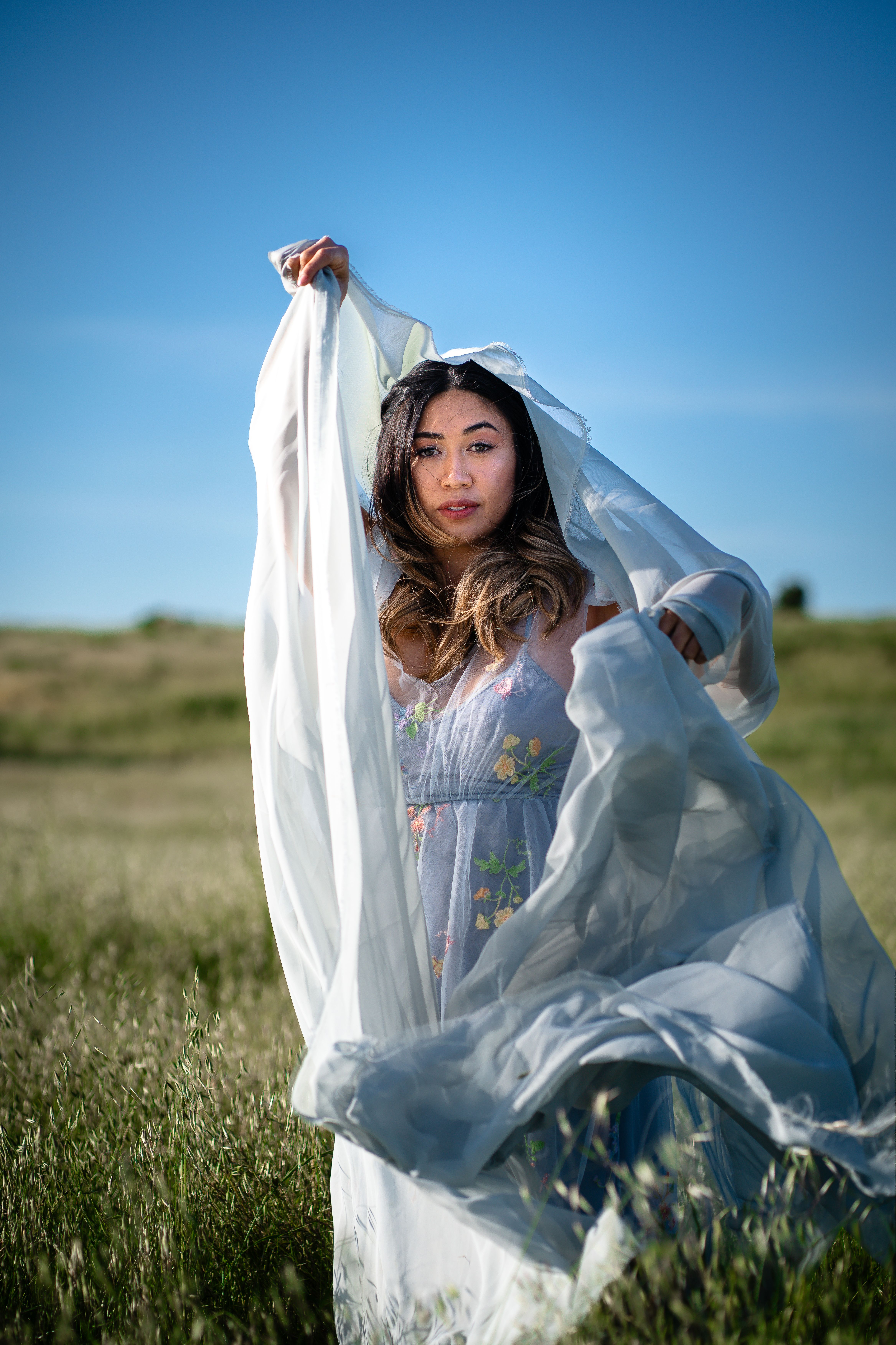 Young Woman in a Dress Posing on a Field · Free Stock Photo