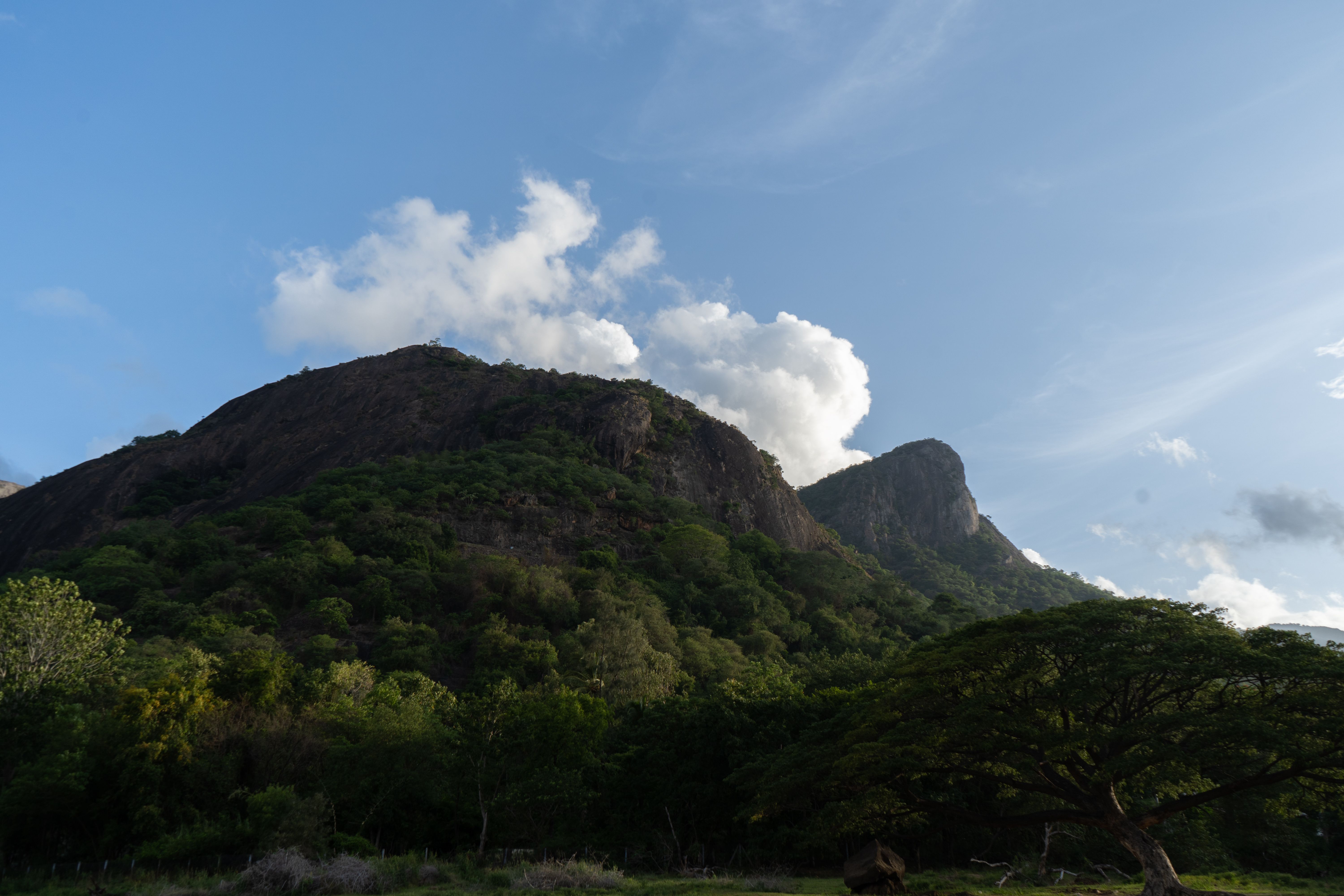 Breathtaking view of lush green mountains and clouds in Pollachi, India.