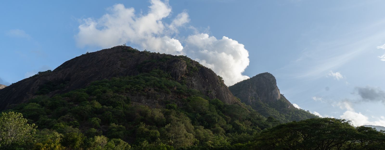 Breathtaking view of lush green mountains and clouds in Pollachi, India.