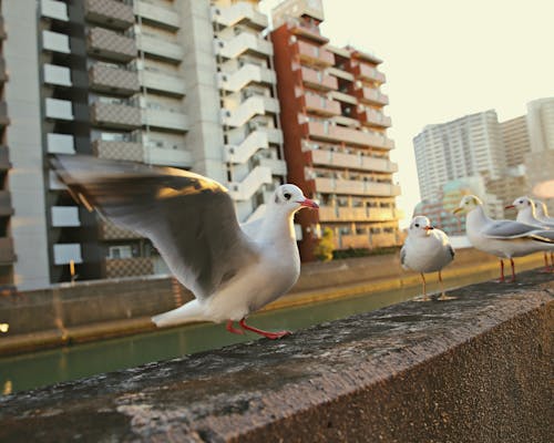 canonphoto içeren Ücretsiz stok fotoğraf