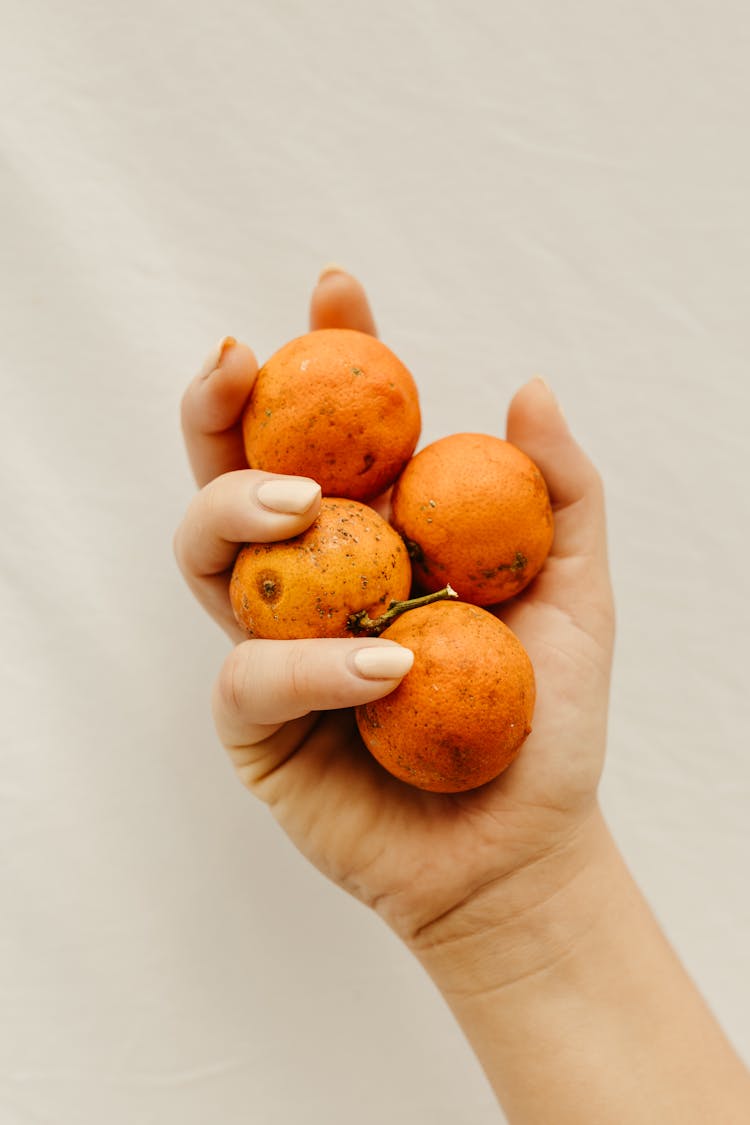 Woman Hand Holding Tangerine