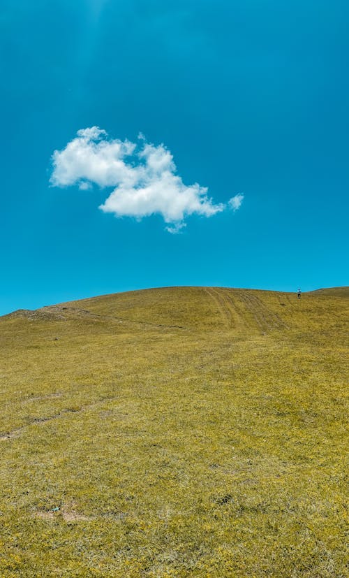 垂直拍摄, 山, 山丘 的 免费素材图片