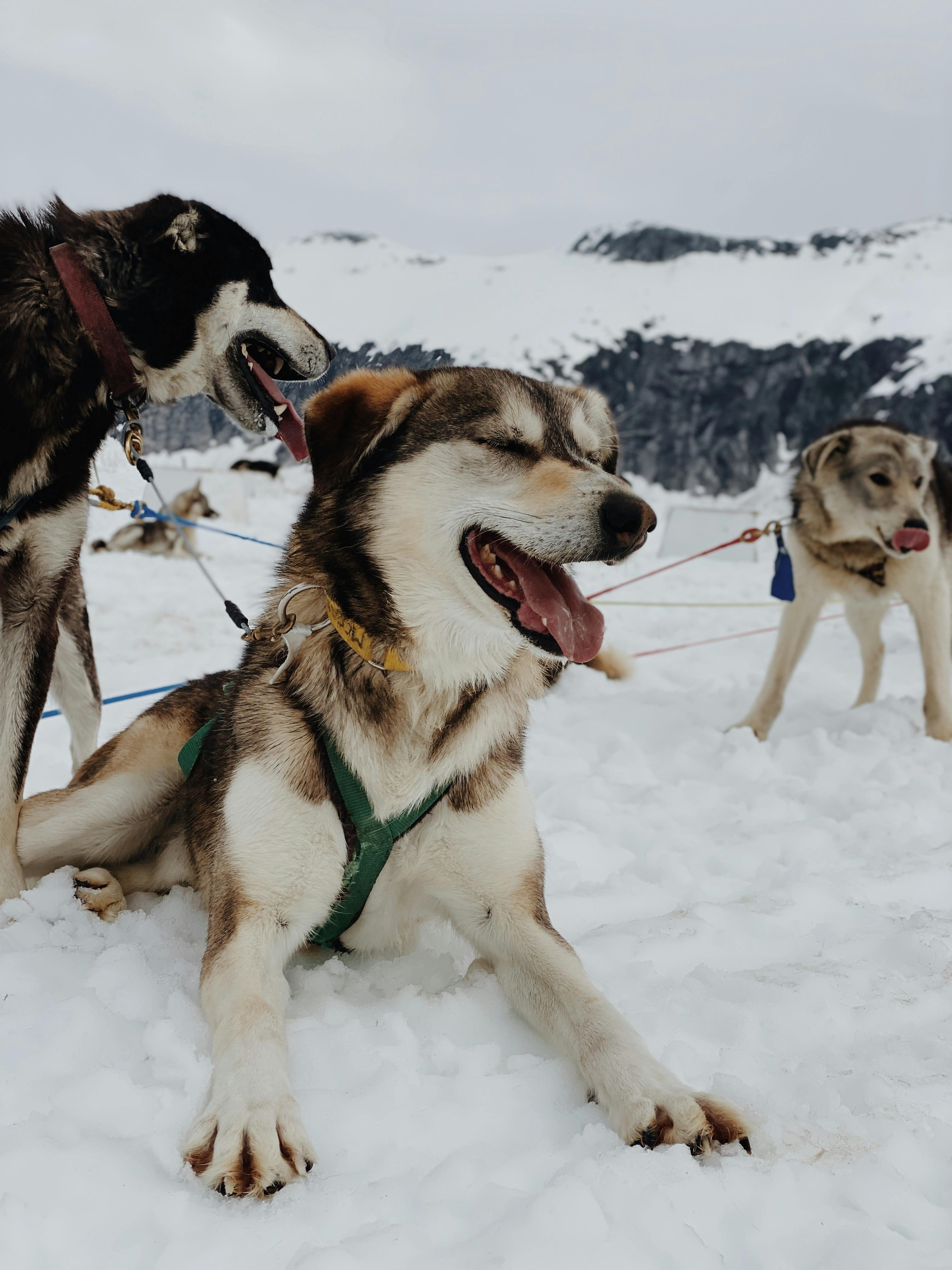 Yovvoyi orgazm pornosini onlayn tomosha qiling