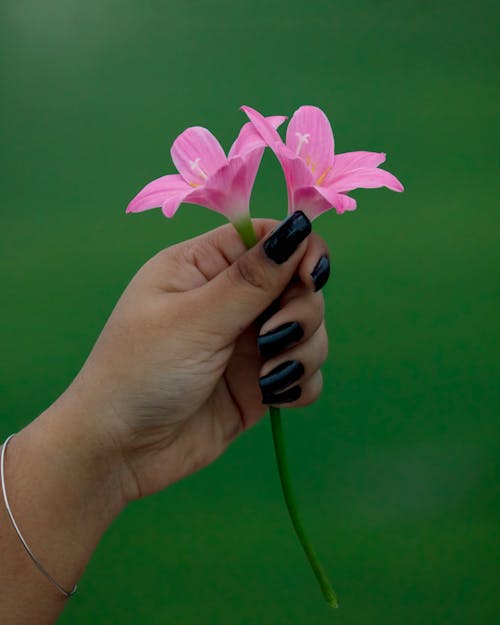 Immagine gratuita di donna, fiori, focus selettivo