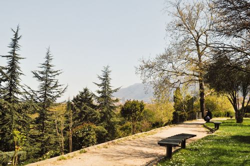 Free Quiet park with benches, trees, and scenic view under clear skies in daytime. Stock Photo