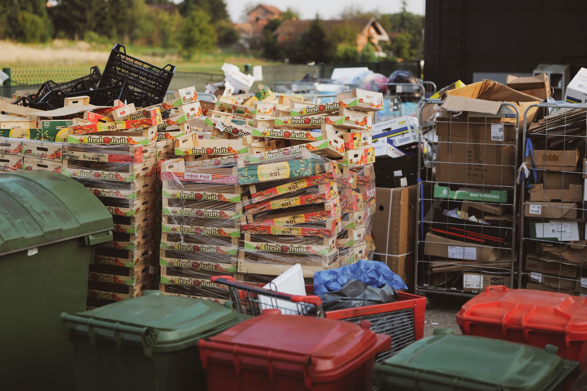 Store Rubbish and Storage Bins