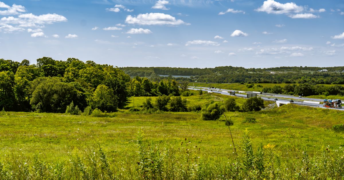 A wide view of a highway cutting through lush meadows and fields under a bright blue sky in Pickering, Canada.