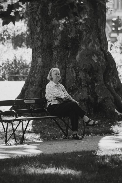 Free Elderly woman sitting on a bench under a tree in a London park, captured in black and white. Stock Photo